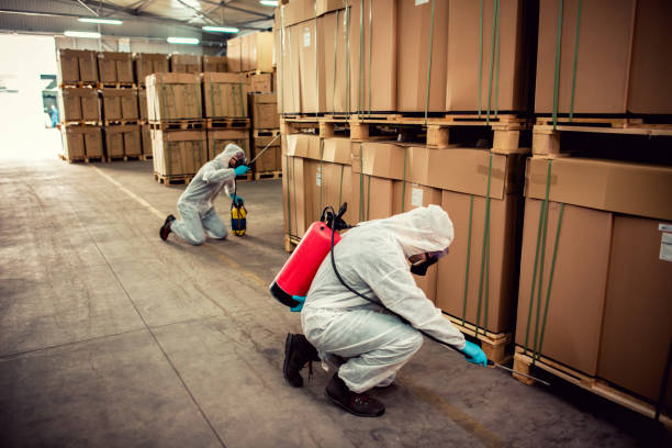 Best Rat Extermination Near Me  in Bluffton, SC