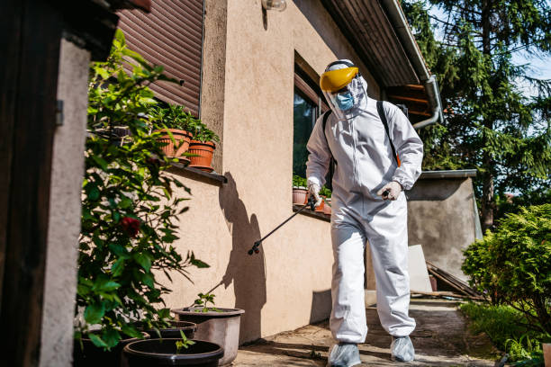  Bluffton, SC Pest Control Pros