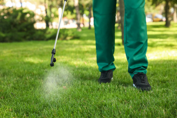 Best Commercial Pest Control Services  in Bluffton, SC